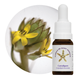 Floral Curculigum 10 ml